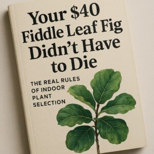 Best indoor plants - real rules for indoor plants selection