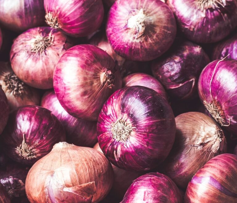 Onions in the sun